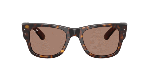Mega Wayfarer - Image 2