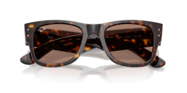 Mega Wayfarer - Image 4