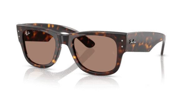 Mega Wayfarer - Image 6