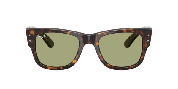 Mega Wayfarer - Image 3