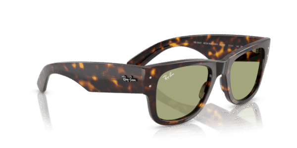 Mega Wayfarer - Image 2
