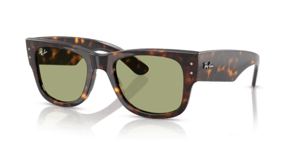 Mega Wayfarer - Image 7