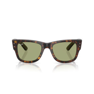 Mega Wayfarer