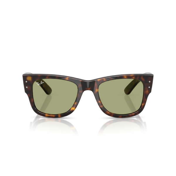 Mega Wayfarer