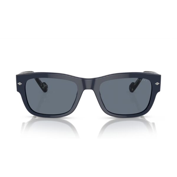 VO5530S #Polar