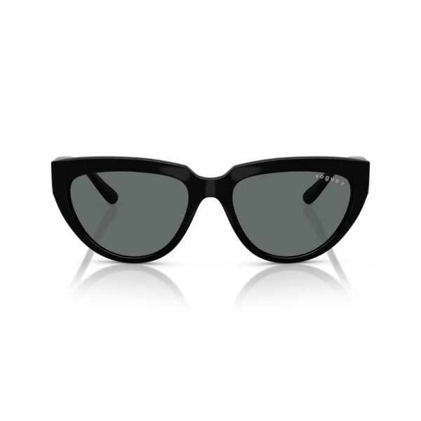 VO5629S #Polar
